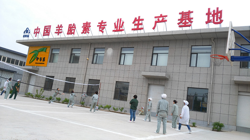 銀川伊百盛生物工程有限公司 銀川伊百盛生物工程有限公司