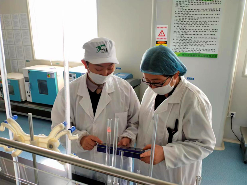 銀川伊百盛生物工程有限公司 銀川伊百盛生物工程有限公司