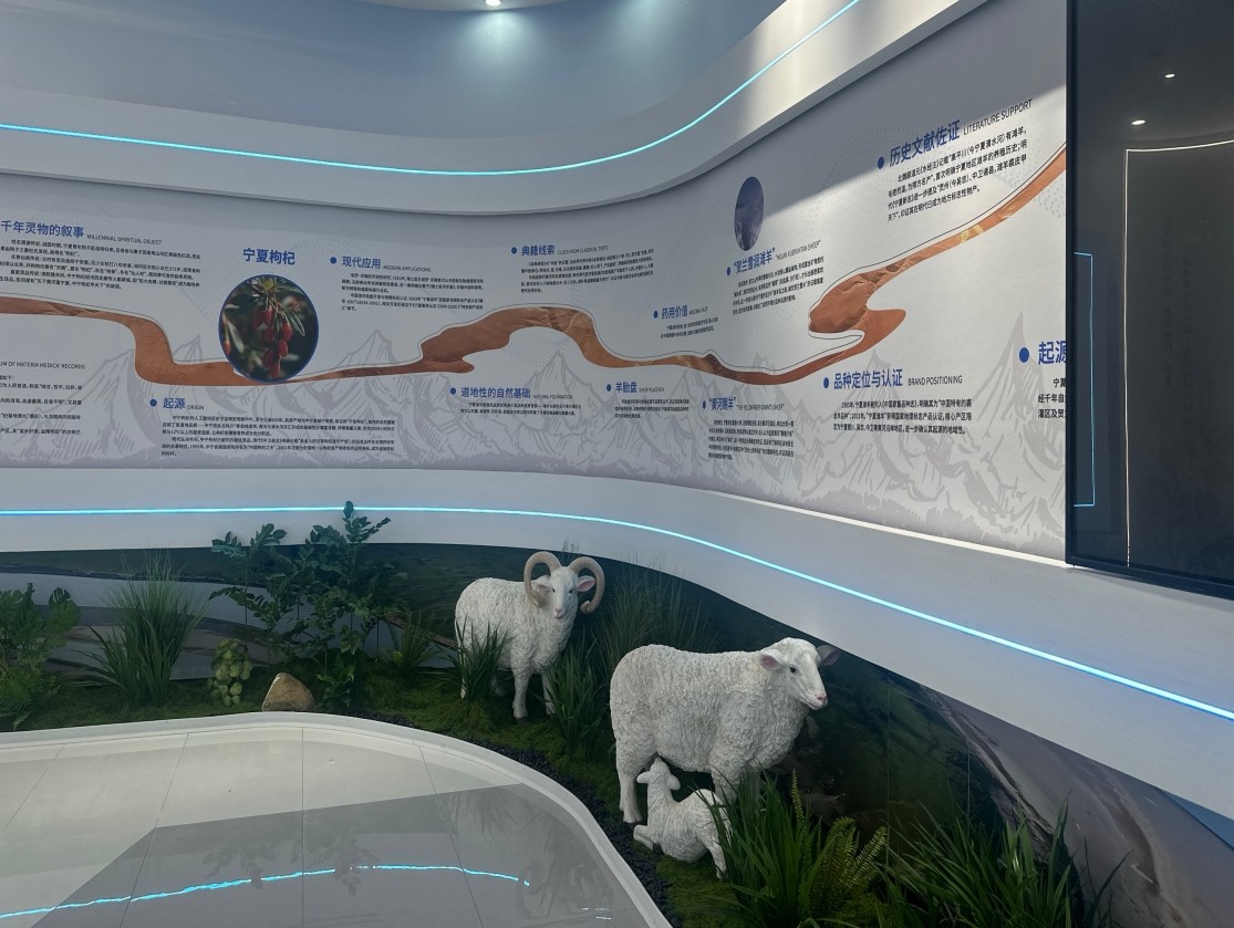 銀川伊百盛生物工程有限公司