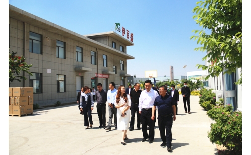 銀川市副市長鄧瑞一行蒞臨伊百盛調研綠色食品產業發展