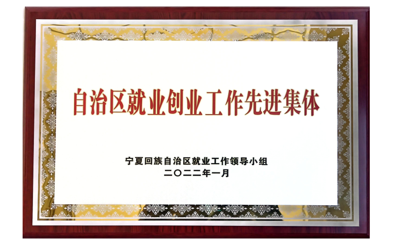 自治區就業創業工作先進集體
